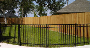Ornamental_with_Wood.jpg